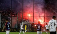 Bengalas Colo Colo